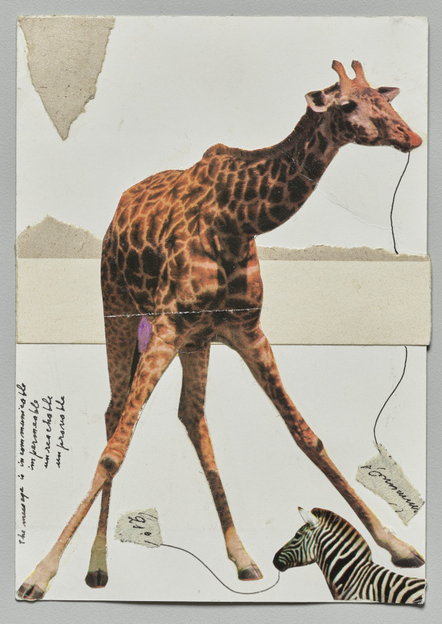 Giraffe (recto), Lenore Tawney, 1979