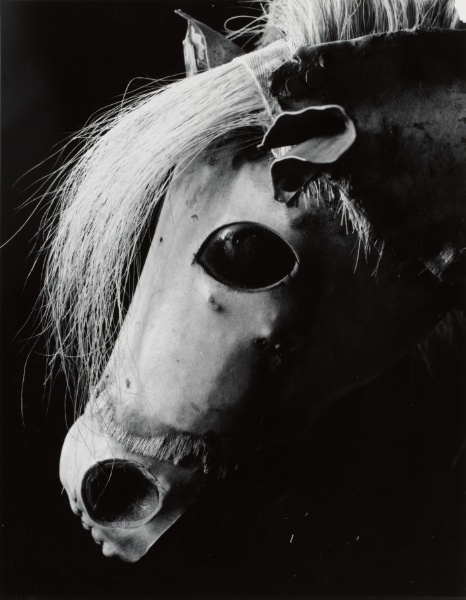 Untitled (Horse's head, Boston, MA, 1961)  
