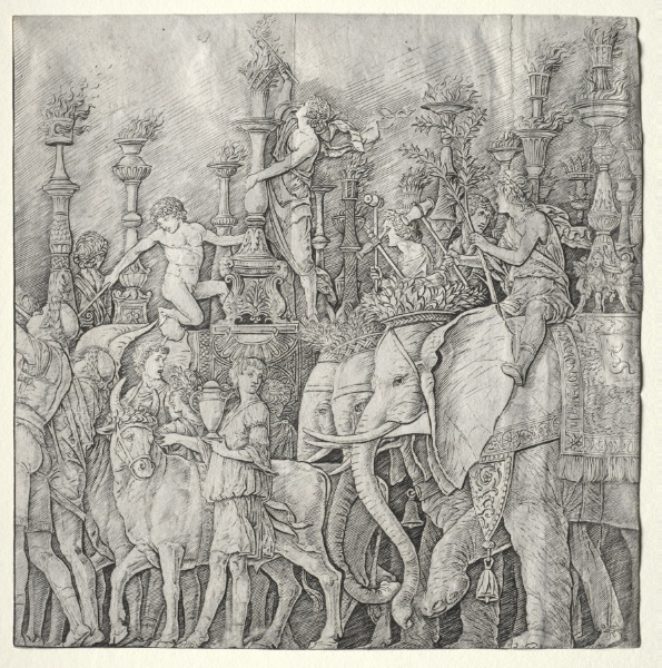 The Triumphs of Caesar: The Elephants