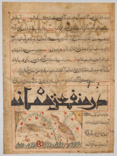 Folio from a Persian Manafi‘ al-Hayawan (The Benefits of Animals) of Abu Said Ubaid-Allah ibn Jibrail ibn Bakhtishu (died 1058–68) (verso)