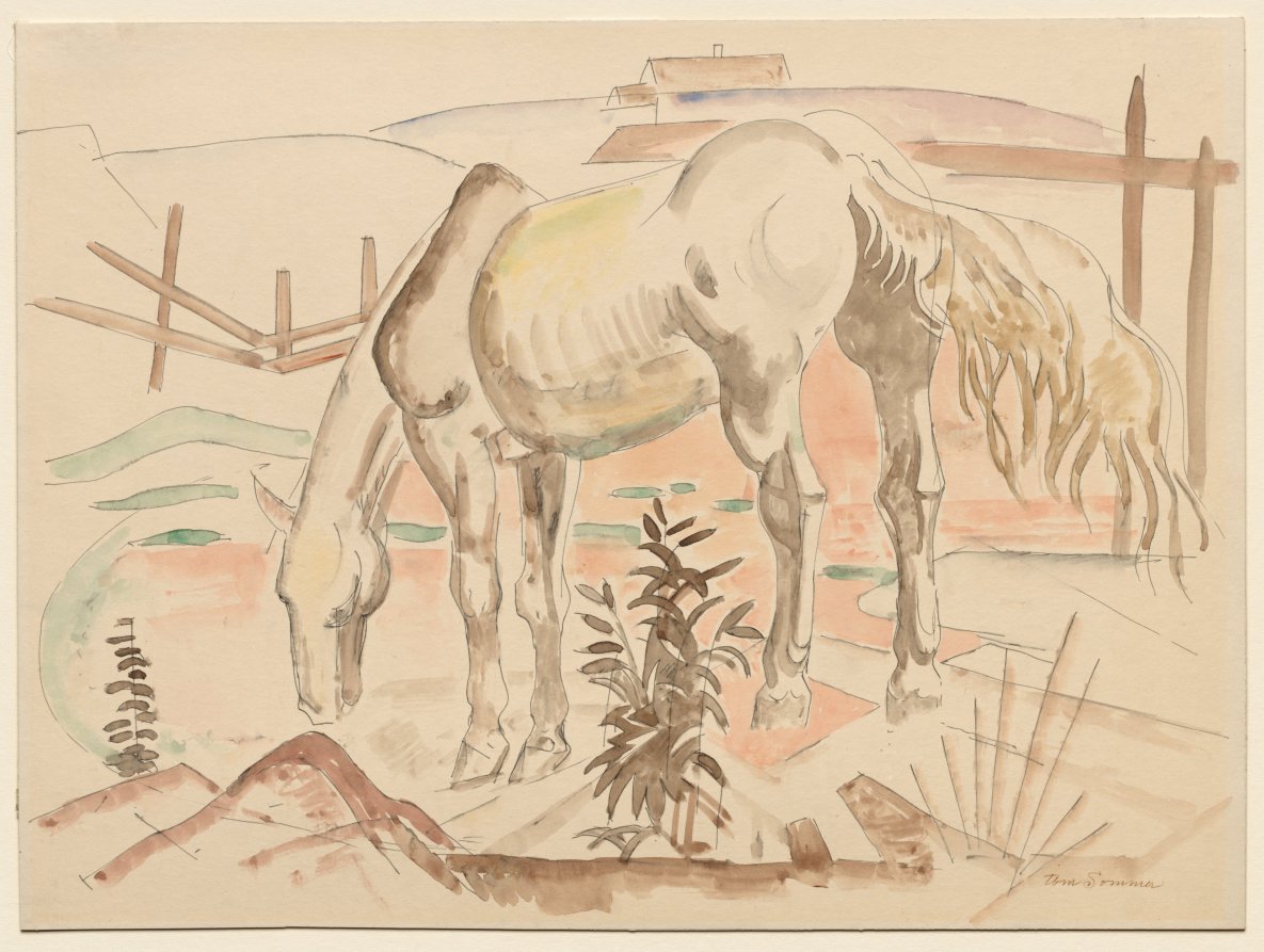 Arid Grazing, William Sommer, c. 1890–1949