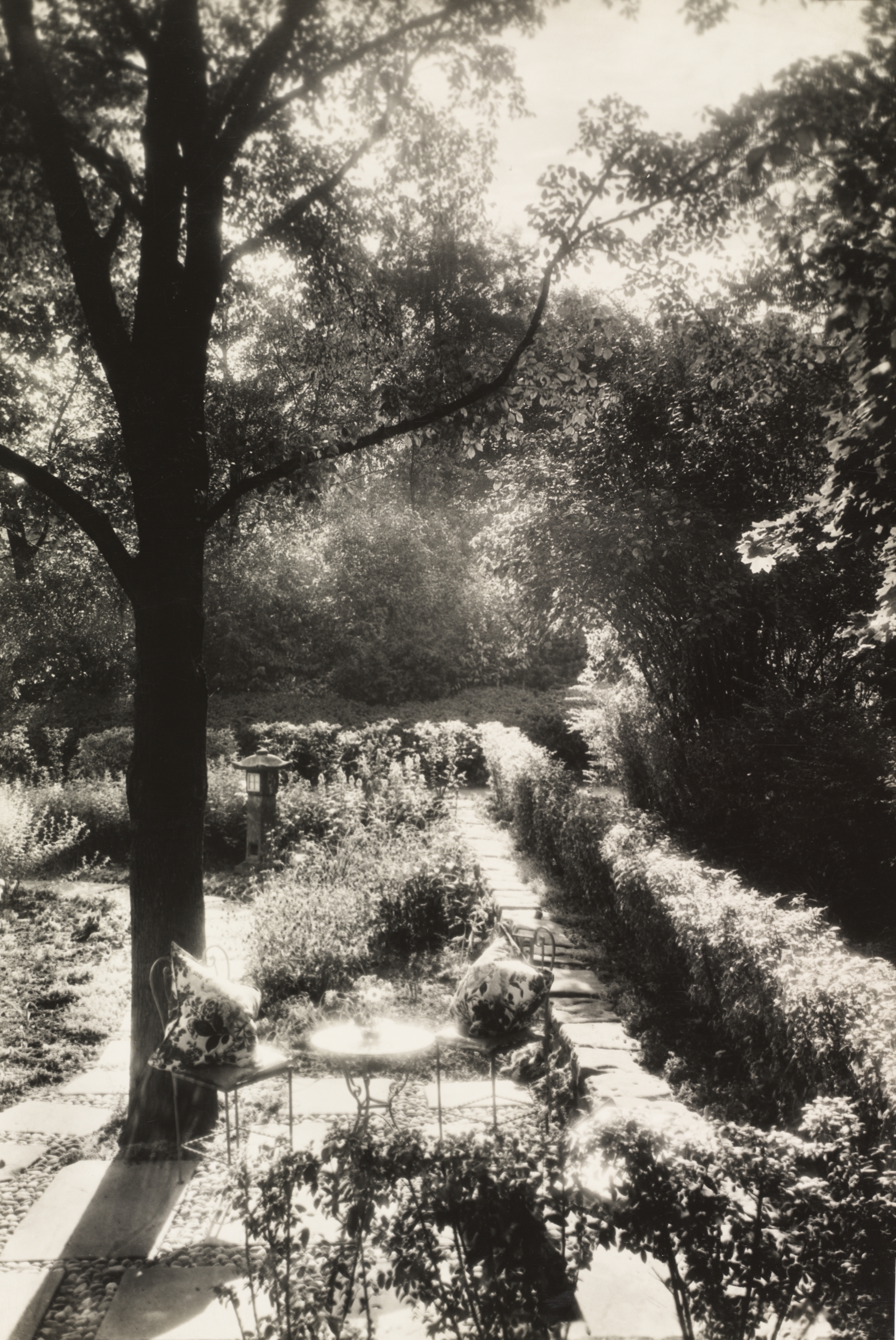 Untitled (Garden of Mrs. Homer H. Johnson)