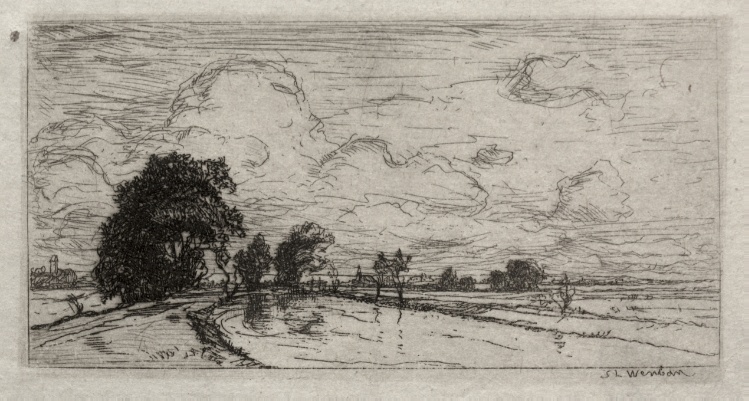 Flooded Landscape with Trees