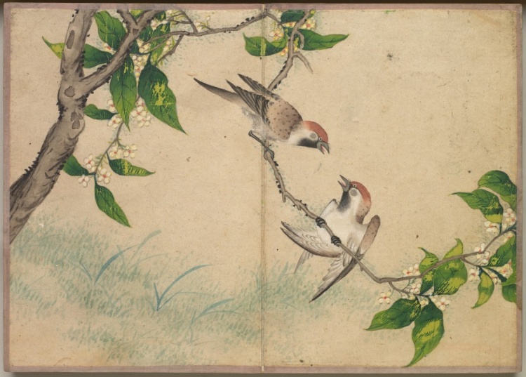 Desk Album: Flower and Bird Paintings (Gossiping Sparrows)