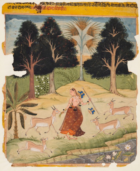 Woman Feeding Deer: Todi Ragini, from a Ragamala