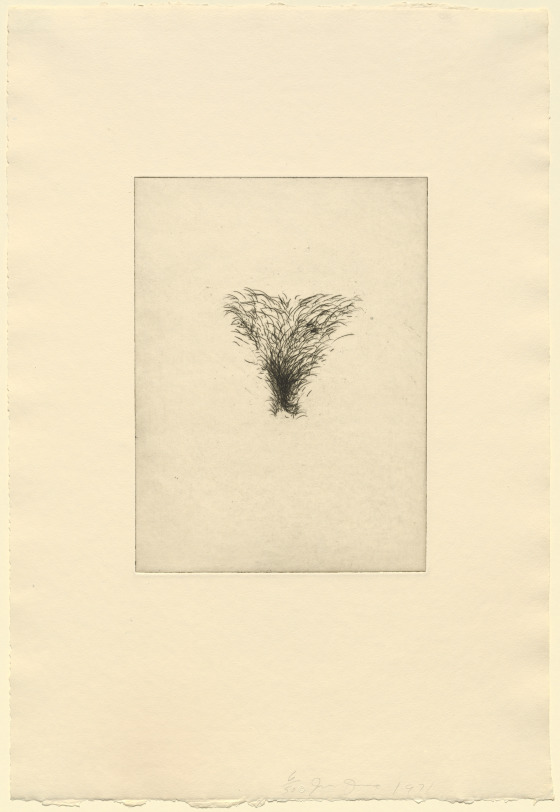 Four Kinds Of Pubic Hair Cleveland Museum Of Art four-kinds-of-pubic-hair-cleveland-museum-of-art