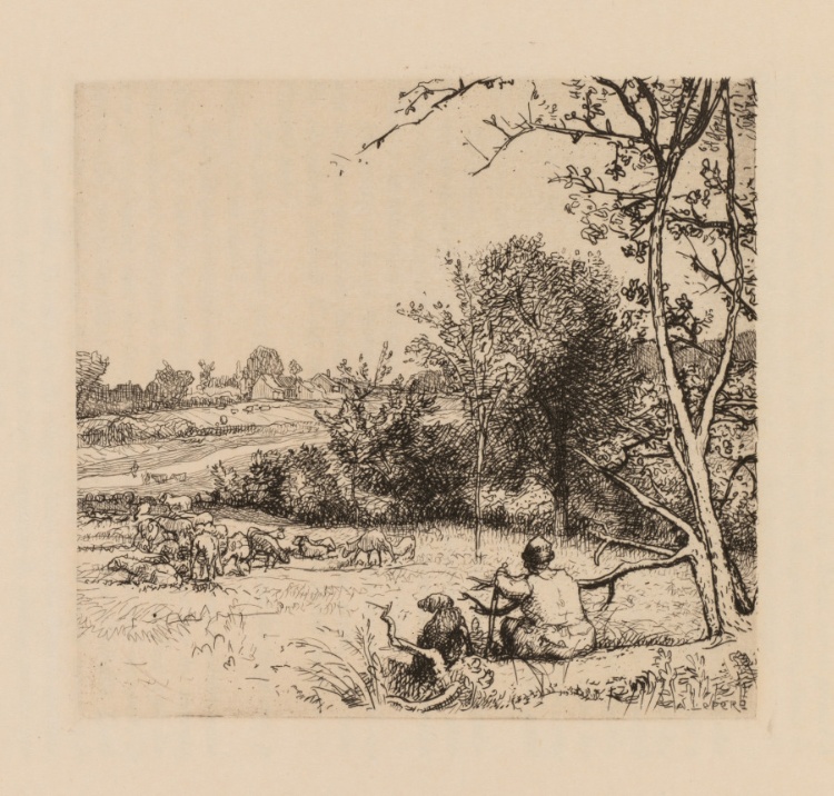 Auguste Lepère: Le pommier renversé (Picardie)	