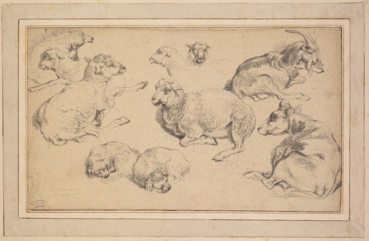 Sheet of Studies with Sheep, Goats, and Dogs
