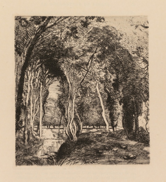 Auguste Lepère: Sous bois, à la Rigonette (Vendèe)