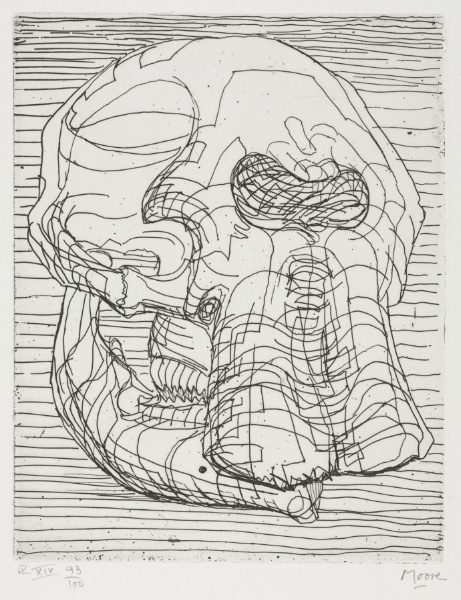 Elephant Skull Album:  Elephant Skull (Plate XIV)