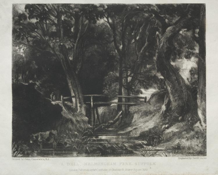 Various Subjects of Landscape, Characteristic of English Scenery from Pictures Painted by John Constable, R.A.:  Dell in the Woods of Helmingham Park, Suffolk