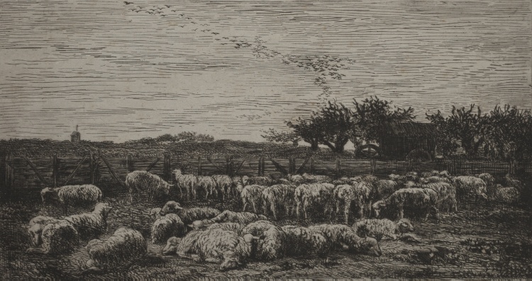 The Large Sheepfold
