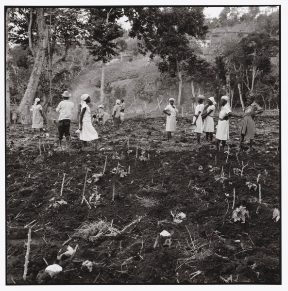 Women Wait to Plant a Field Above Jacmal