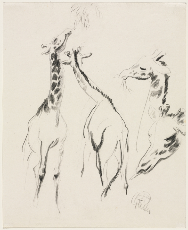 Circus Sketches - Giraffes, Henry Keller, c. 1891–1946