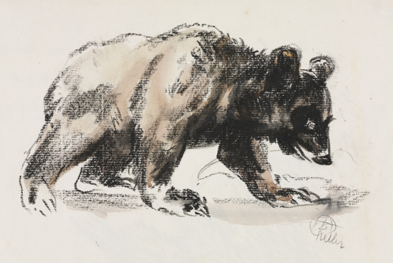 Disconsolate Bruin, Henry Keller, c. 1891–1946