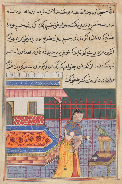 The parrot addresses Khujasta at the beginning of the forty-first night, from a Tuti-nama (Tales of a Parrot): Forty-first Night