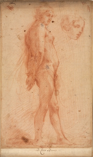 Study of a Standing Male Nude, with a Study of Head in Three-Quarter Profile