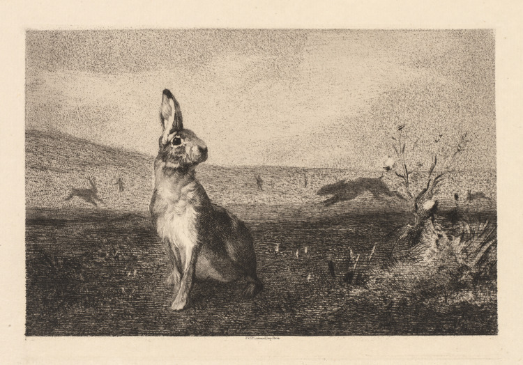 The Hare (Le Lièvre)