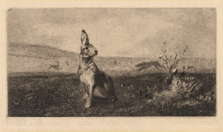 The Hare (Le Lièvre)