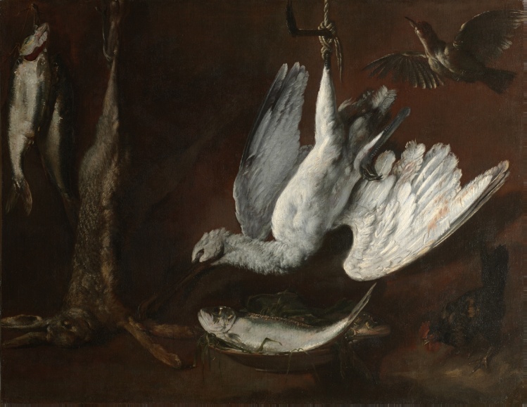 Hare, Spoonbill, and Fish