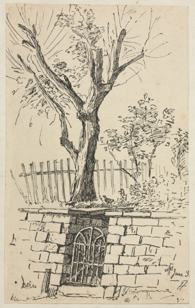 Tree on Top of a Stone Wall, Cleveland