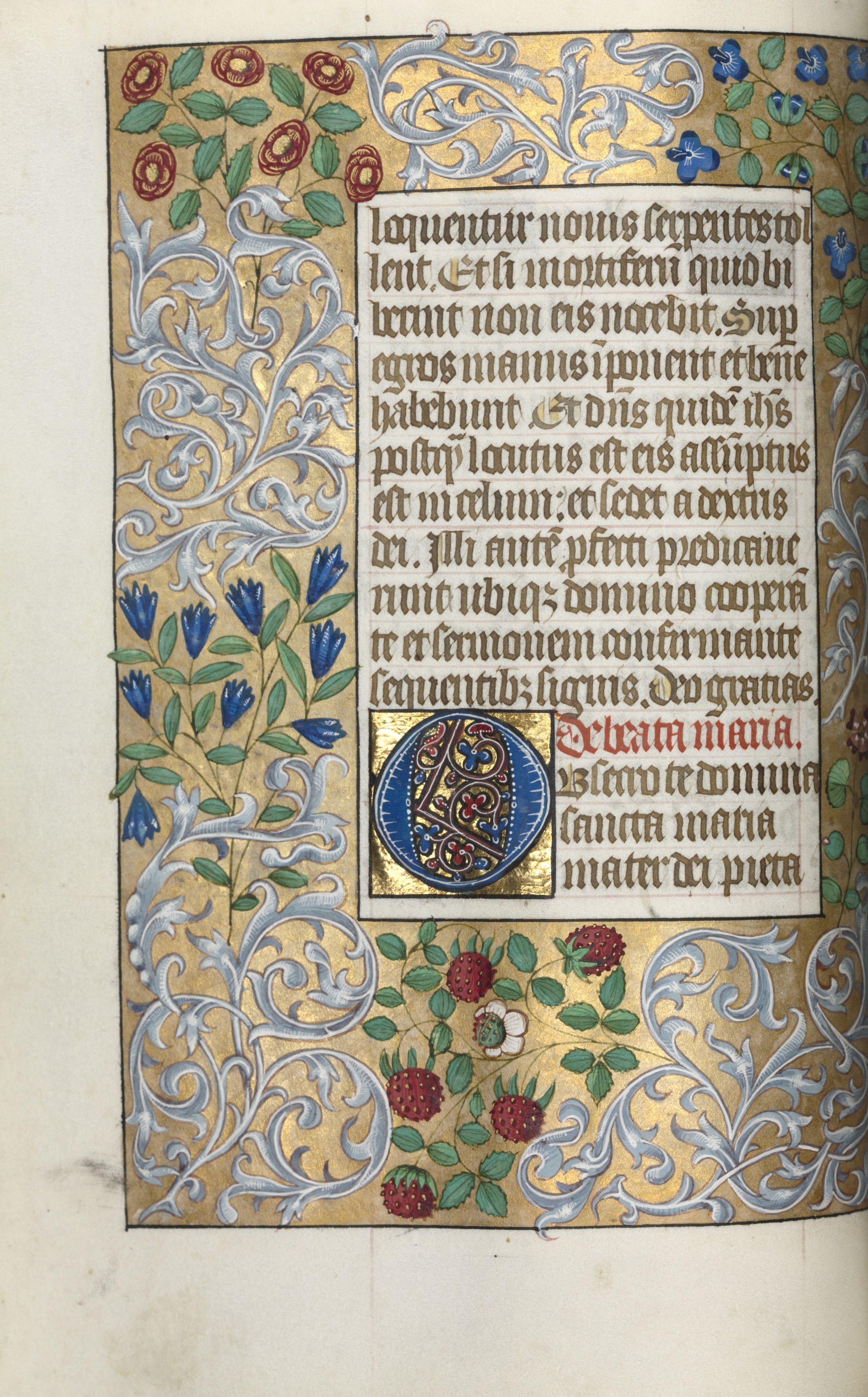 Book of Hours (Use of Rouen): fol. 18v, Prayers to the Virgin, Large Initial O with Elaborate Border