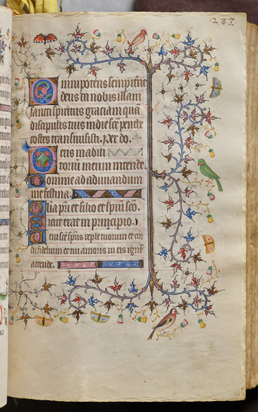 Hours of Charles the Noble, King of Navarre (1361-1425): fol. 142r, Text