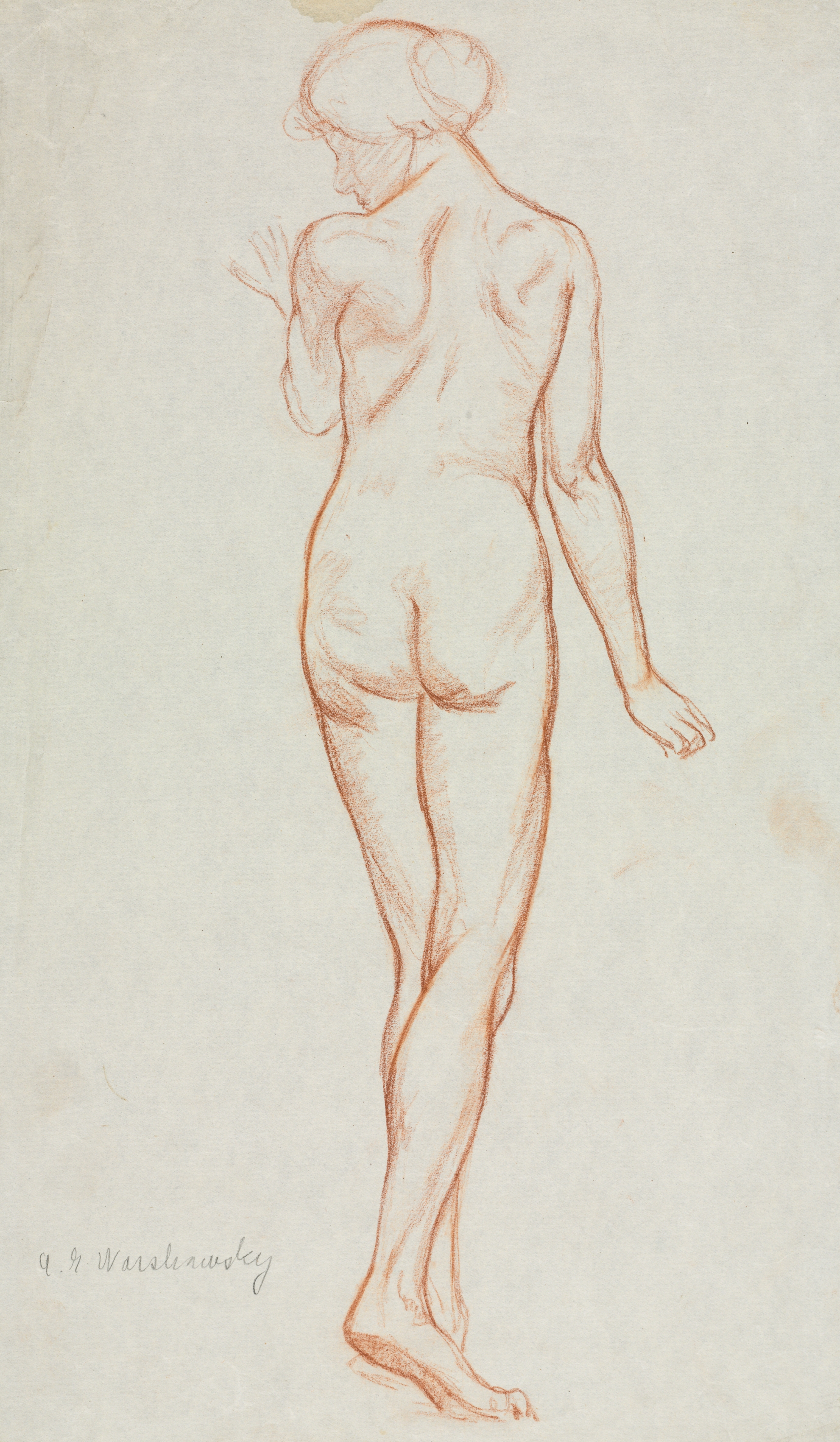 Study - Female Nude Standing