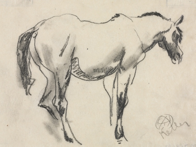 Study of a Horse (Standing and Facing Right)