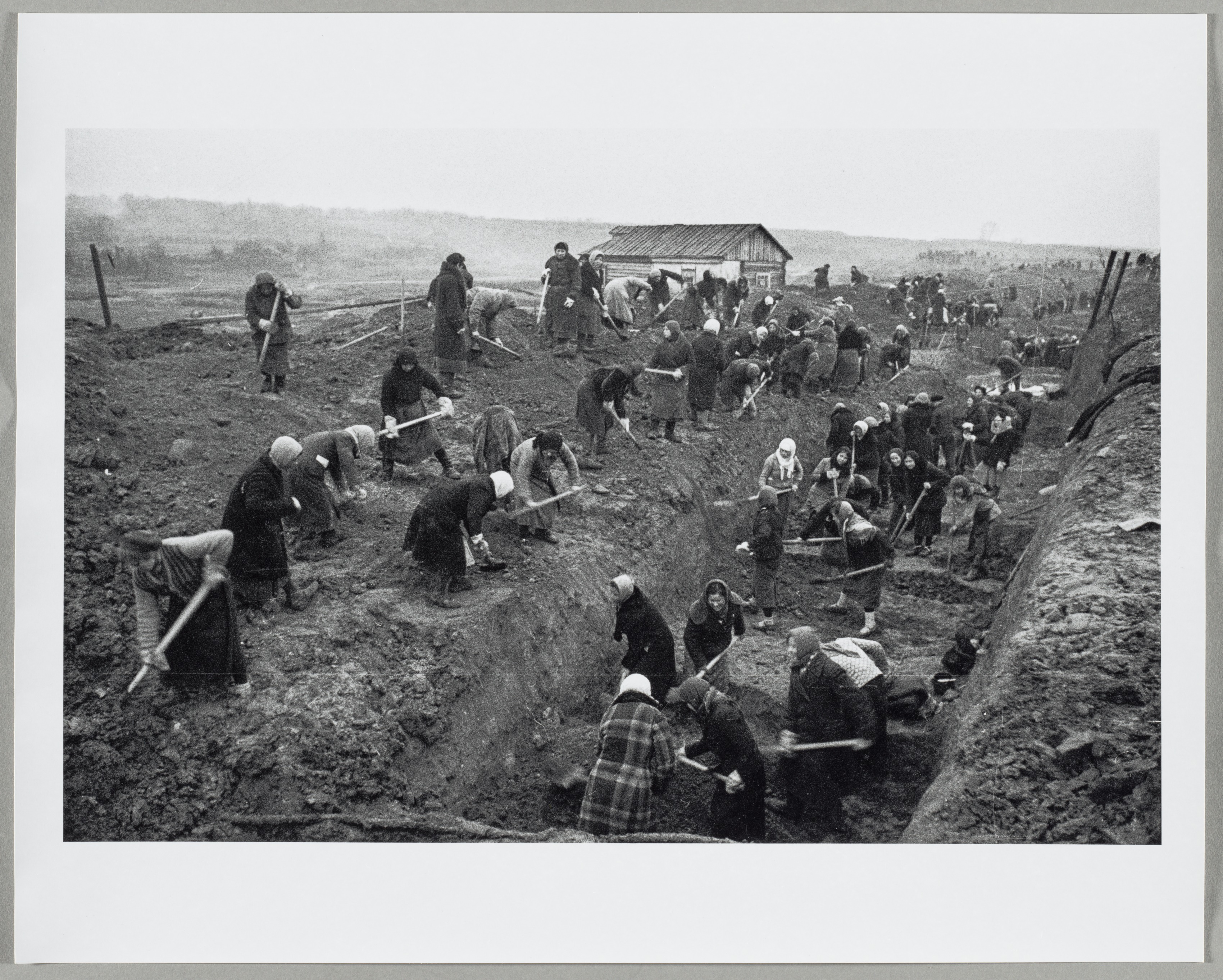 Digging Anti-Tank Trenches near Moscow, October 1941