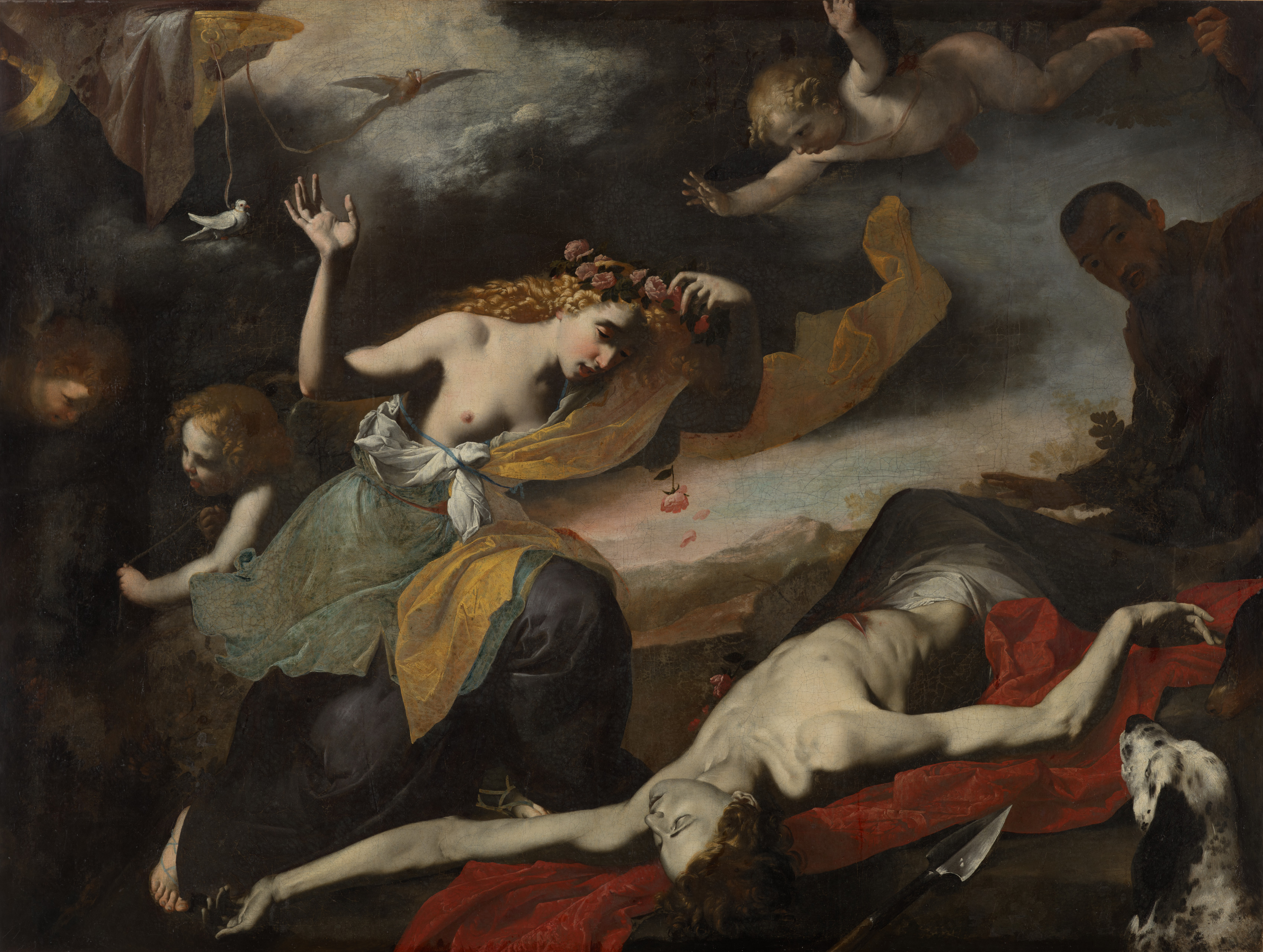 Venus Discovering the Dead Adonis