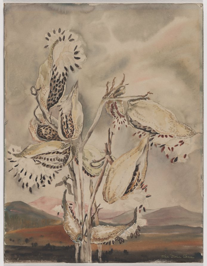 Tomorrow Will Be Winter, Kae Dorn Cass, 1939