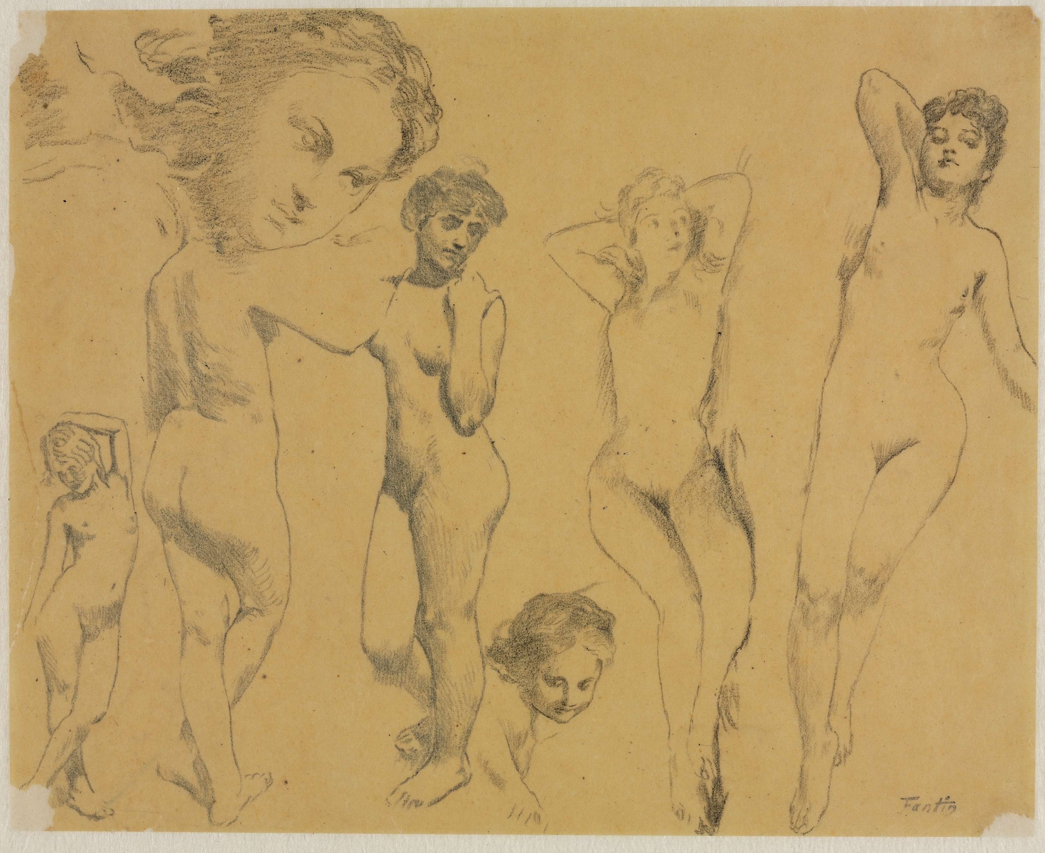 Studies of Female Nudes