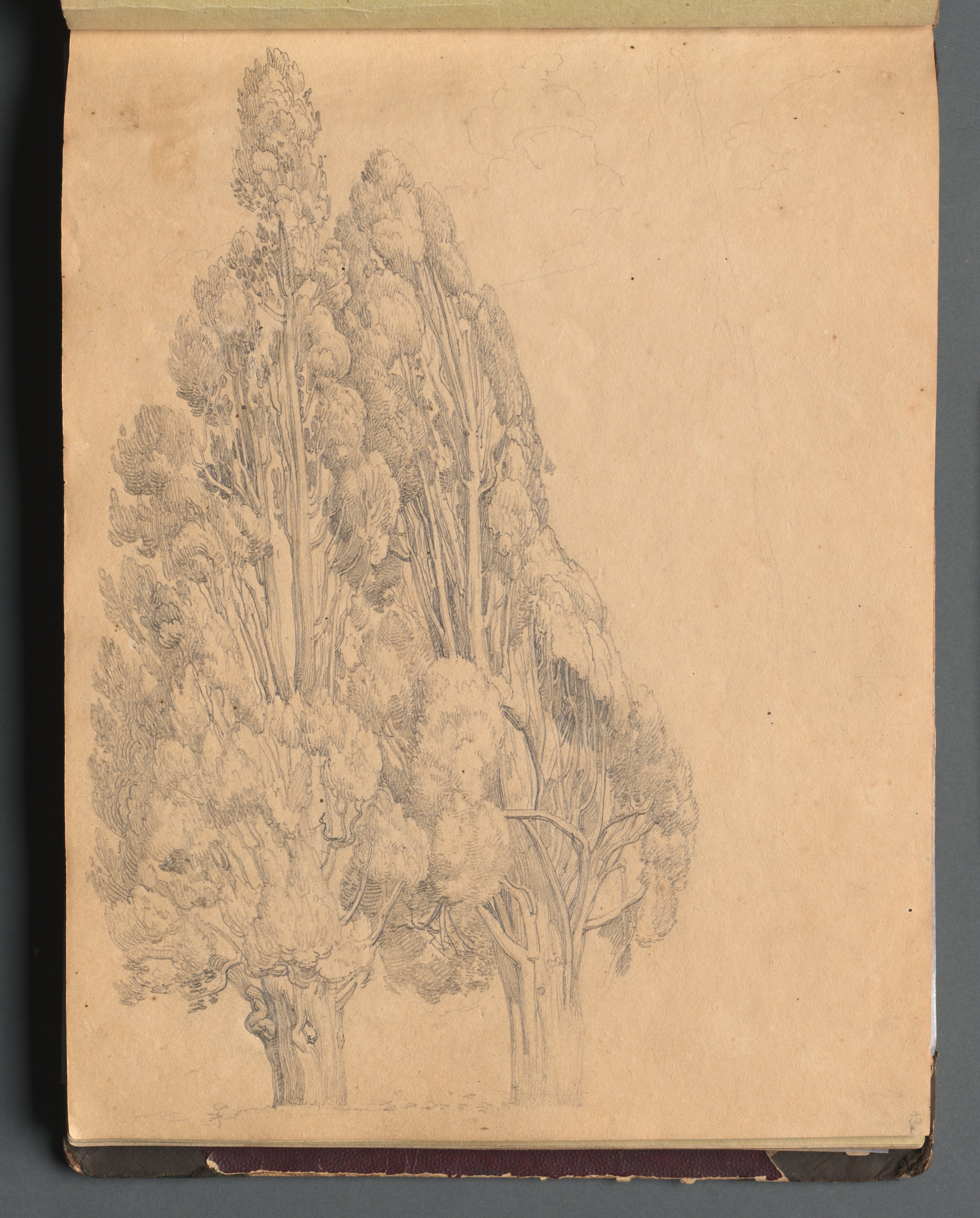 Album with Views of Rome and Surroundings, Landscape Studies, page 13a: Trees
