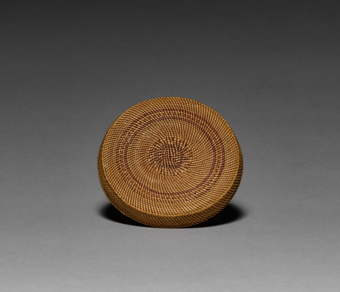 Cover for a Bowl