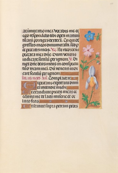 Hours of Queen Isabella the Catholic, Queen of Spain:  Fol. 239r