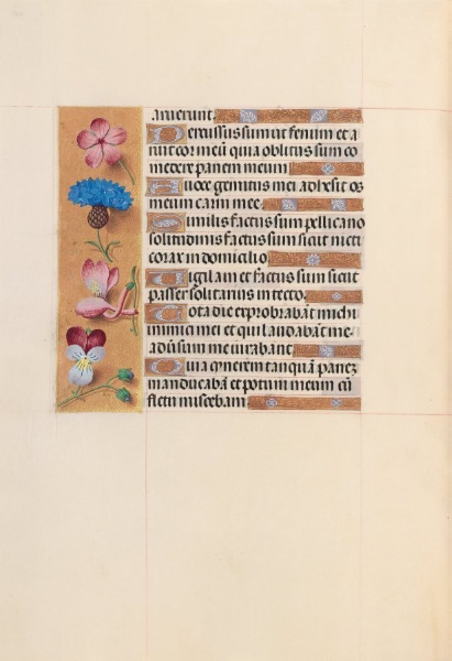 Hours of Queen Isabella the Catholic, Queen of Spain:  Fol. 206v