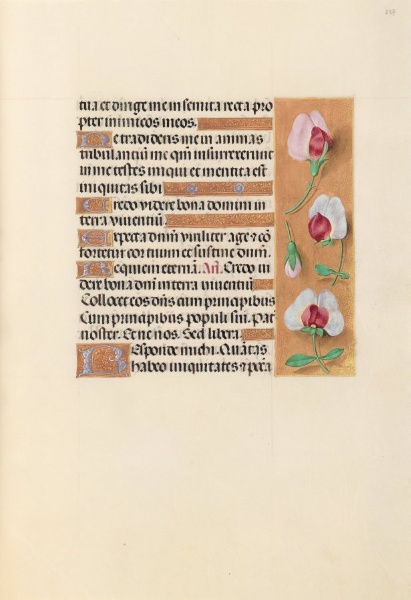 Hours of Queen Isabella the Catholic, Queen of Spain:  Fol. 237r