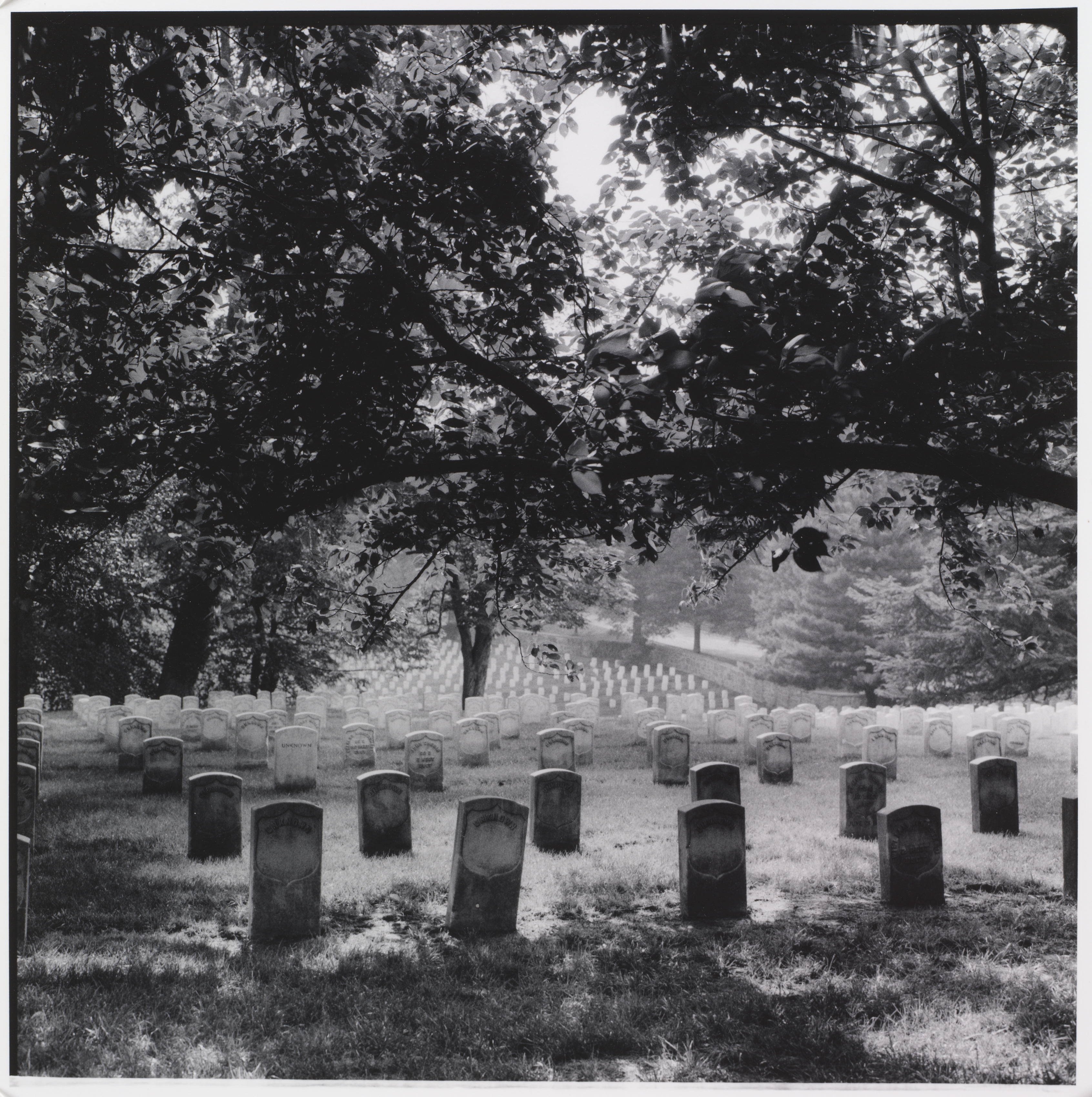 Arlington National Cemetery, Section 27, Arlington, Virginia