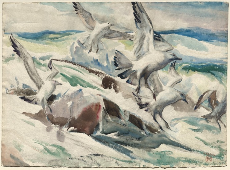 Gulls Feeding
