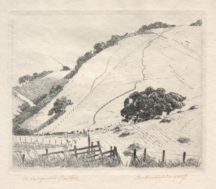 A California Pasture