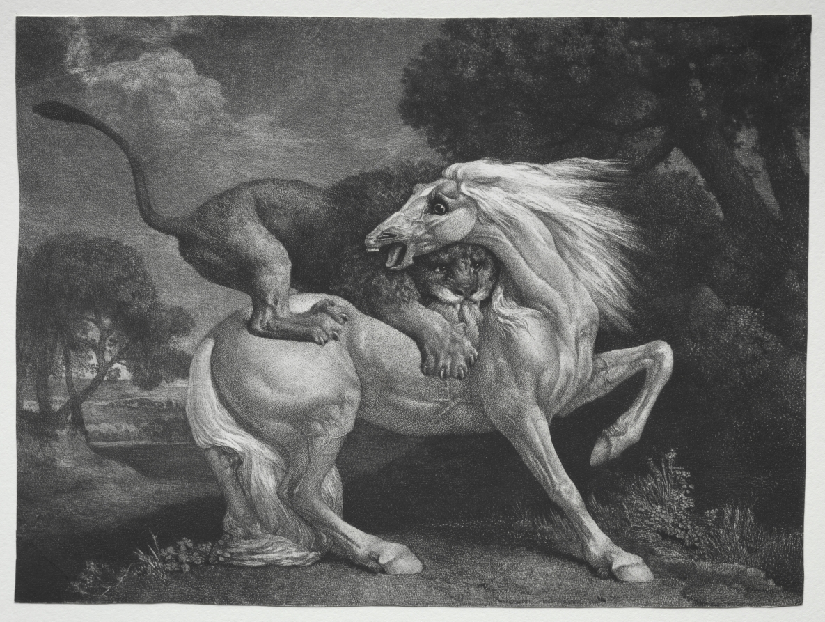 A Horse Attacked by a Lion