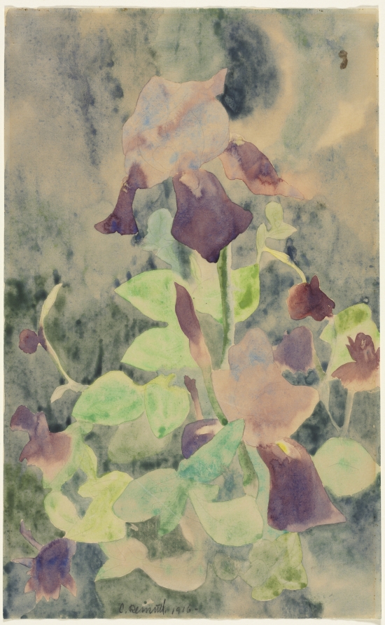 Irises, Charles Demuth, 1916