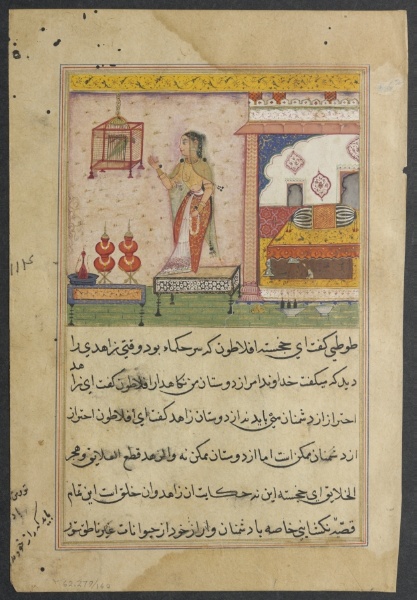 The Parrot Addresses Khujasta at the Beginning of the Twenty-third Night, from a Tuti-nama (Tales of a Parrot)