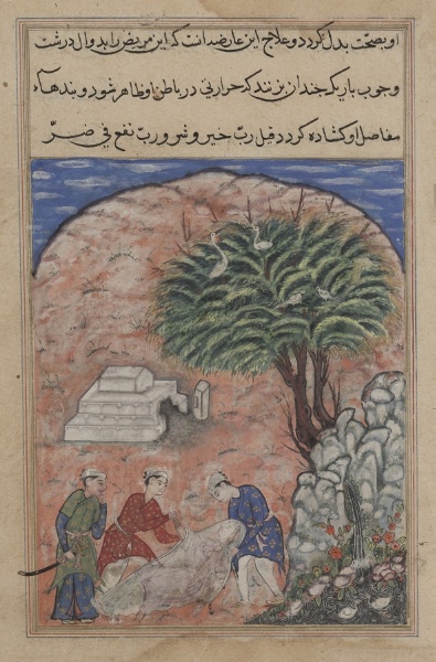 The suitors take the devotee’s daughter out of her tomb after breaking it open, when the physician discovers she is still alive, from a Tuti-nama (Tales of a Parrot): Twentieth Night