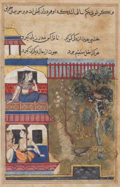 The queen of Rum watches the peahen prefer to burn rather than abandon her eggs while the peacock flees the nest, from a Tuti-nama (Tales of a Parrot): Thirty-ninth Night