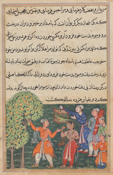 The king plucks fruit from the Tree of Life with his own hands and feeds it to a lady, from a Tuti-nama (Tales of a Parrot): Ninth Night