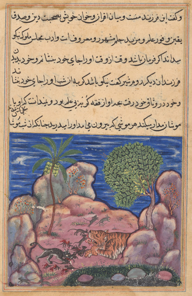 The cat attacks the mice which disturb the lion, from a Tuti-nama (Tales of a Parrot): Fifteenth Night