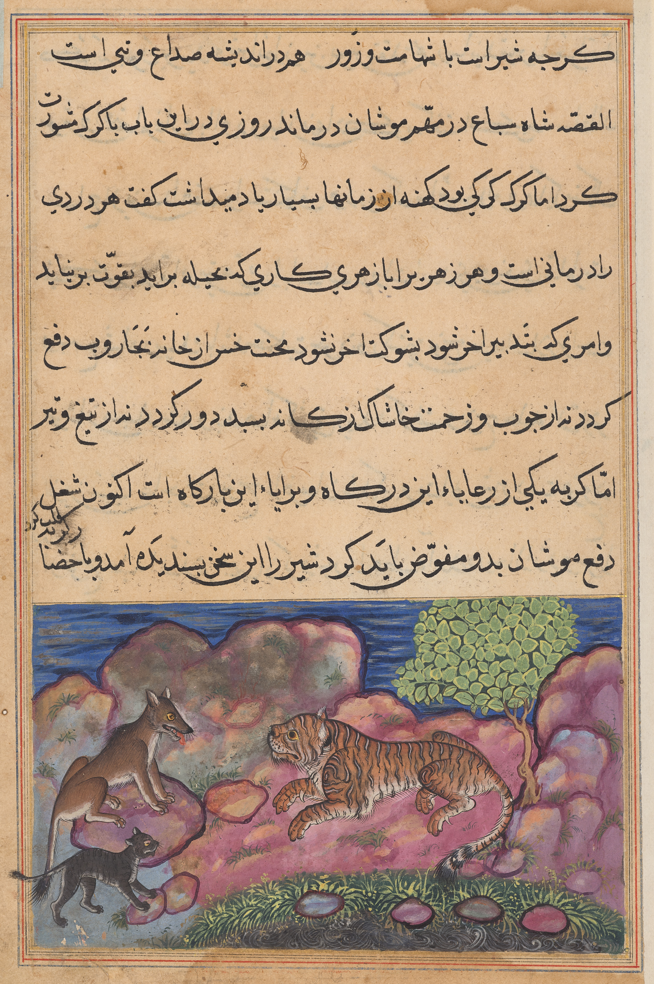 The wolf advises the lion to consult the cat, from a Tuti-nama (Tales of a Parrot): Fifteenth Night