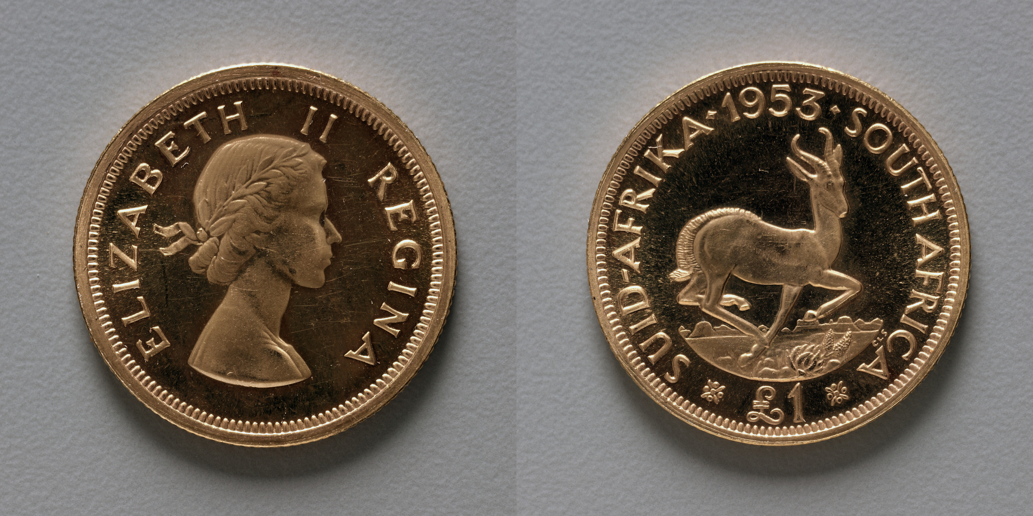 Pound: Elizabeth II (obverse); Springbok (reverse)